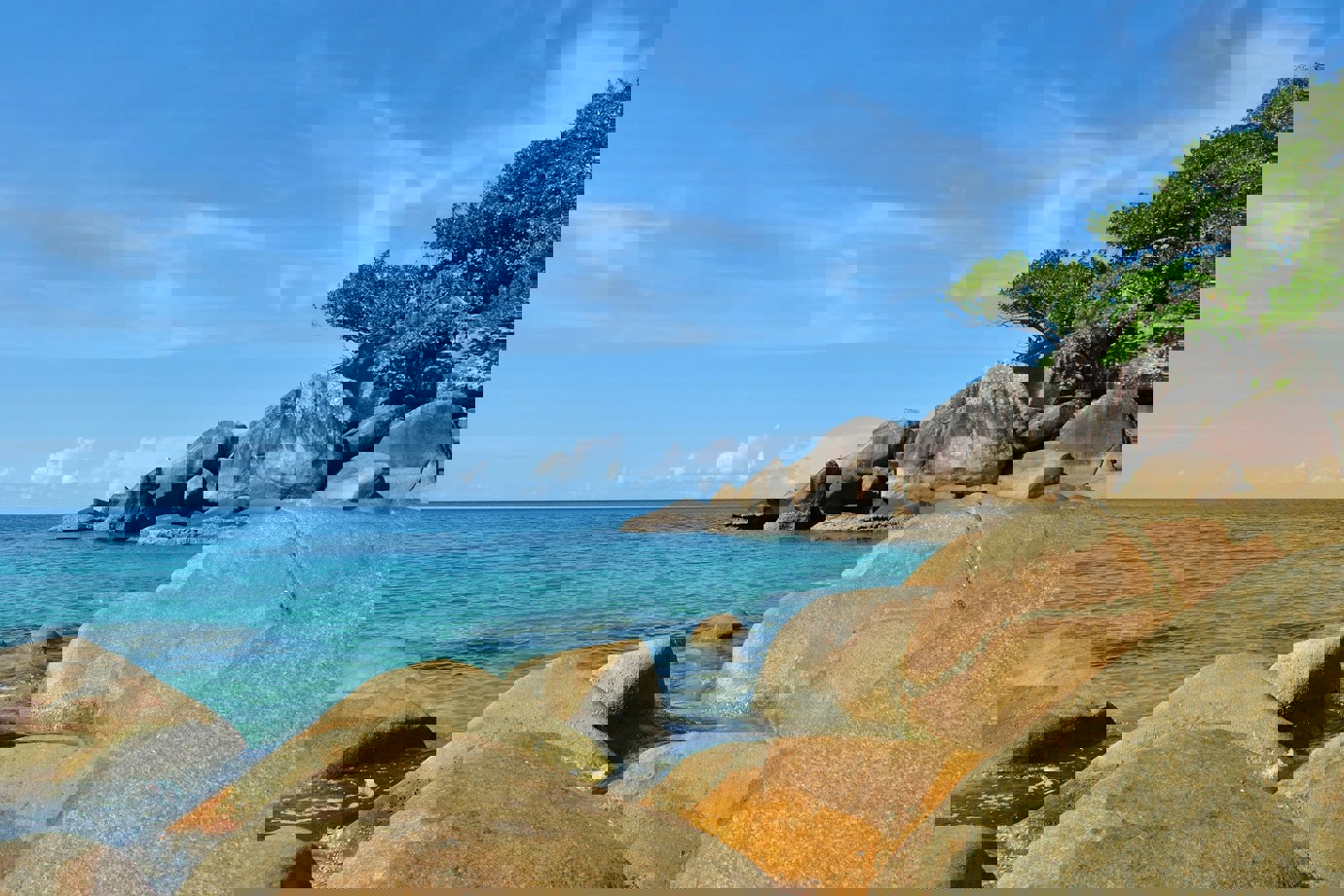 Fitzroy Island