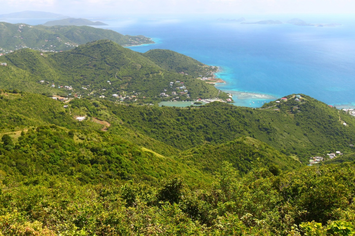 Sage Mountain National Park, Tortola