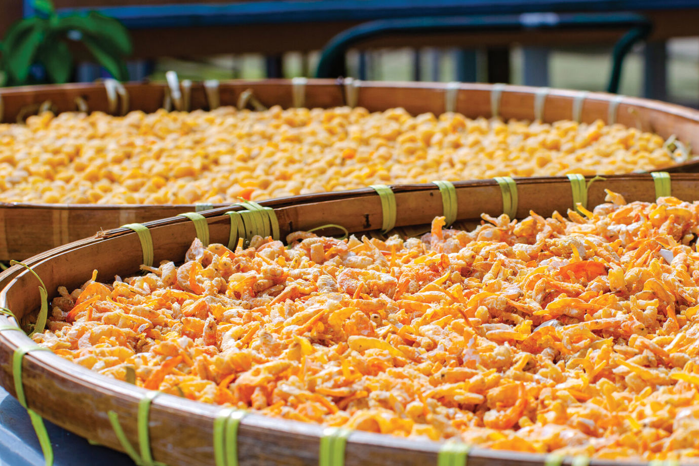 Dried Seafood in the Local Market