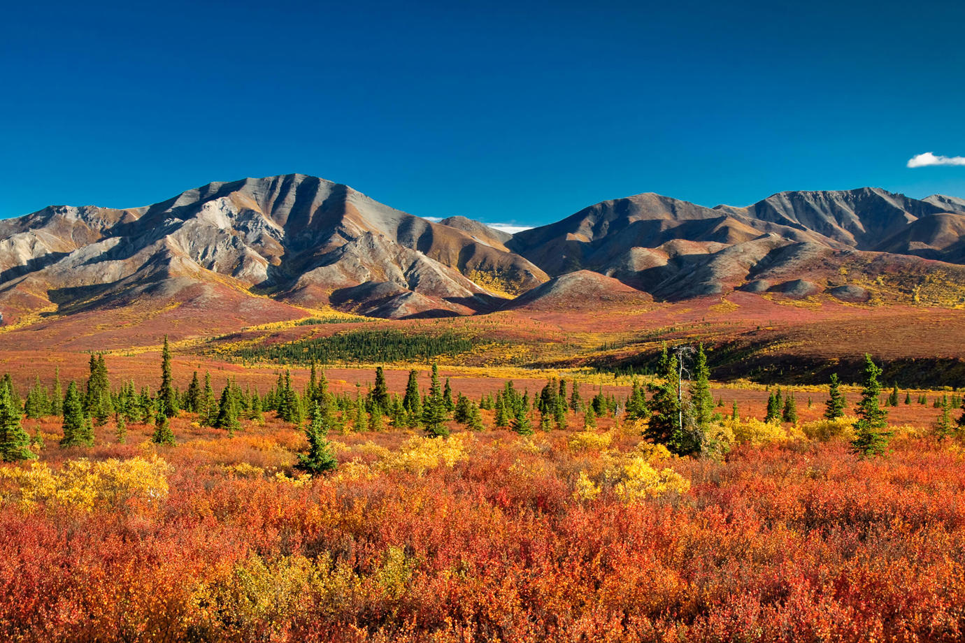 Denali National Park