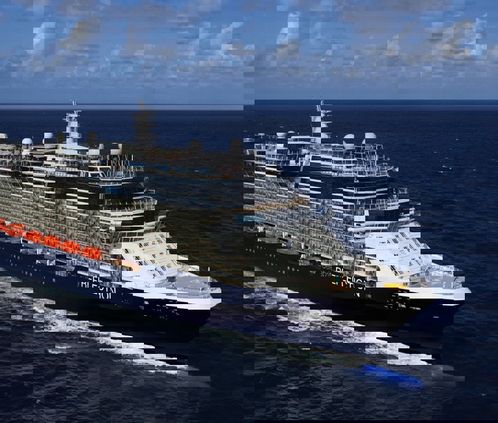 Celebrity Reflection