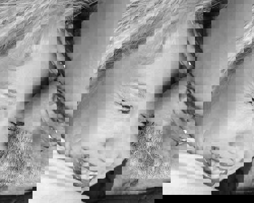 Princess Cruises Photo Studio.jpg