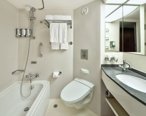 HAL Nieuw Amsterdam Ocean View 2.jpg