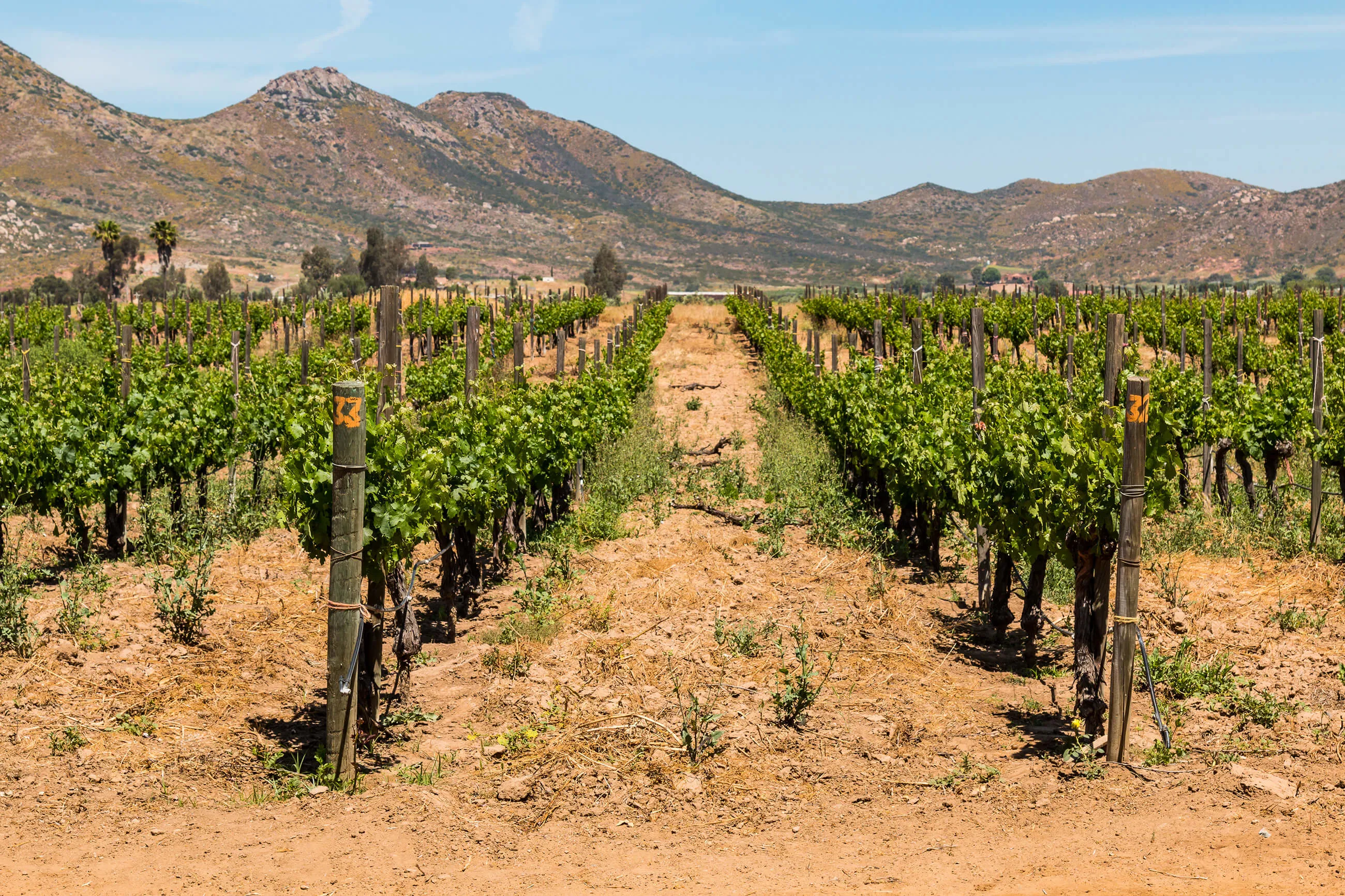 Ensenada Mexico Shutterstock 638268229