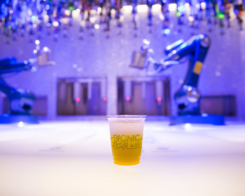 RCI AN Bionic Bar.jpg