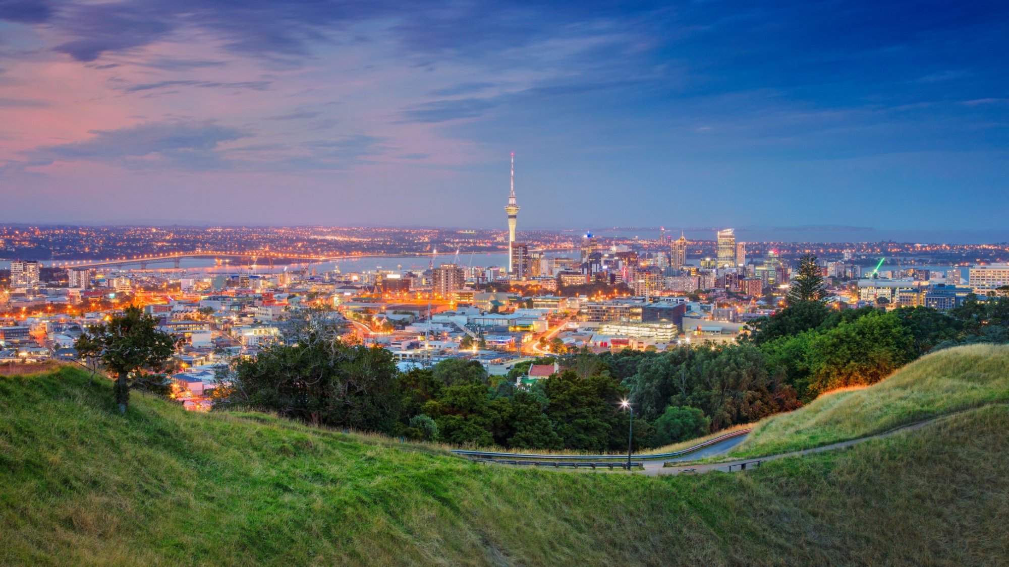 Shutterstock 796561558 Auckland (1) 
