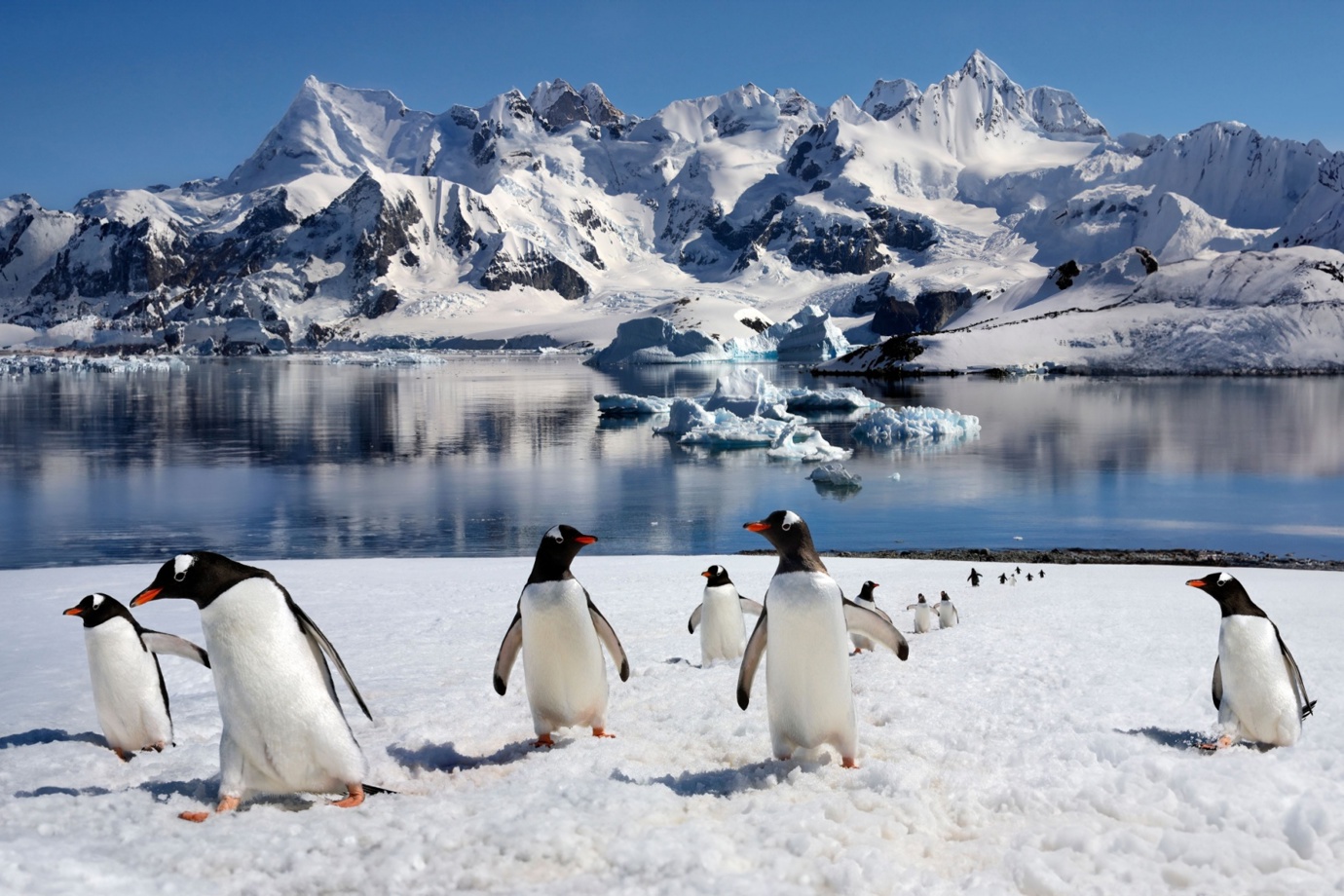 Antarctic Peninsula