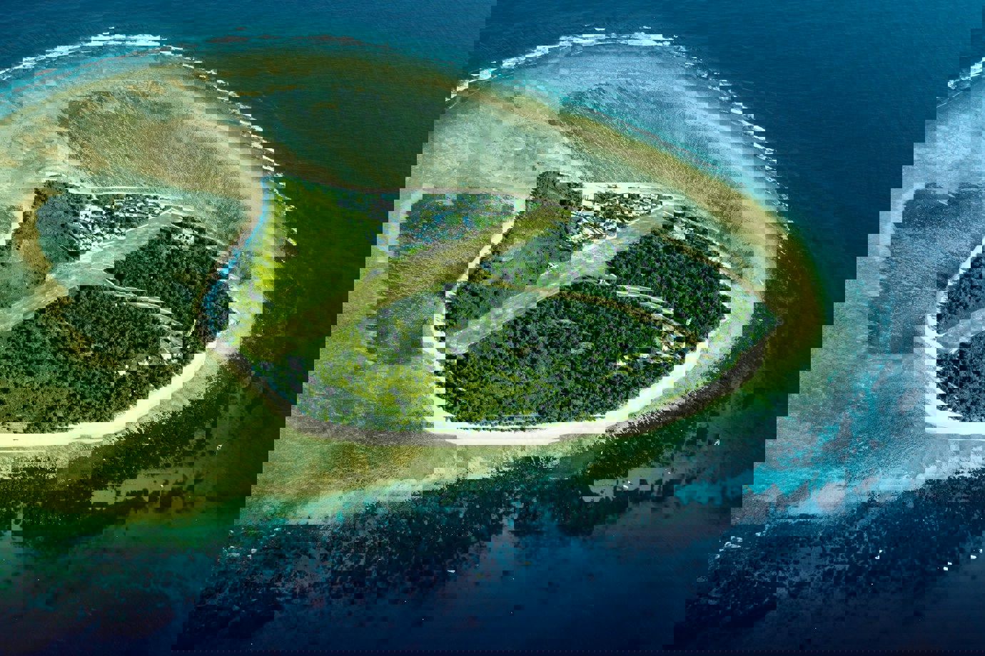 Lady Elliot Island